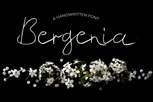 Bergenia: A Handwritten Font for Modern Web Design