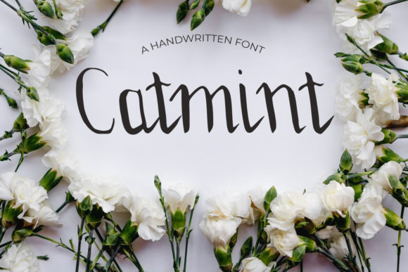 Catmint: A Real-World Designer Review