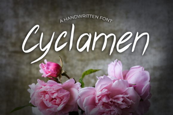 Cyclamen: A Timeless Handwritten Font for Branding