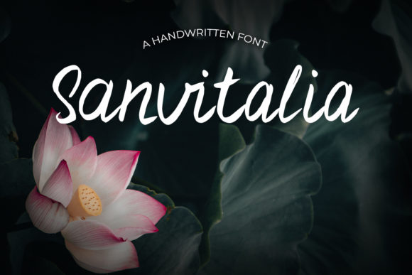 Sanvitalia: A Handwritten Font for Modern Web Design
