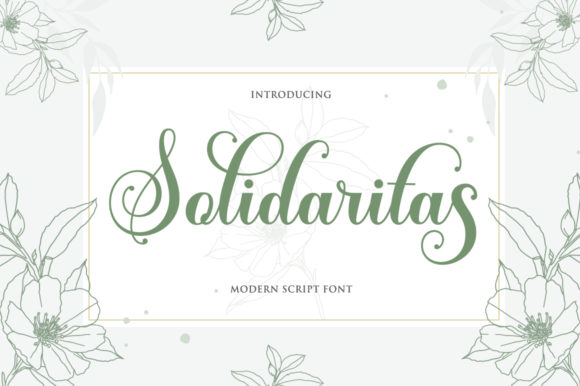Solidaritas: A Romantic Script Font for Marketers